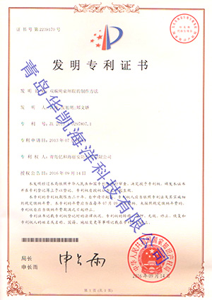 雙編繩索環眼及其制作方法發明專 雙編繩索環眼及其制作方法發明專